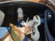 sneakersy i torebka LV