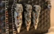 philipp plein claw clutch
