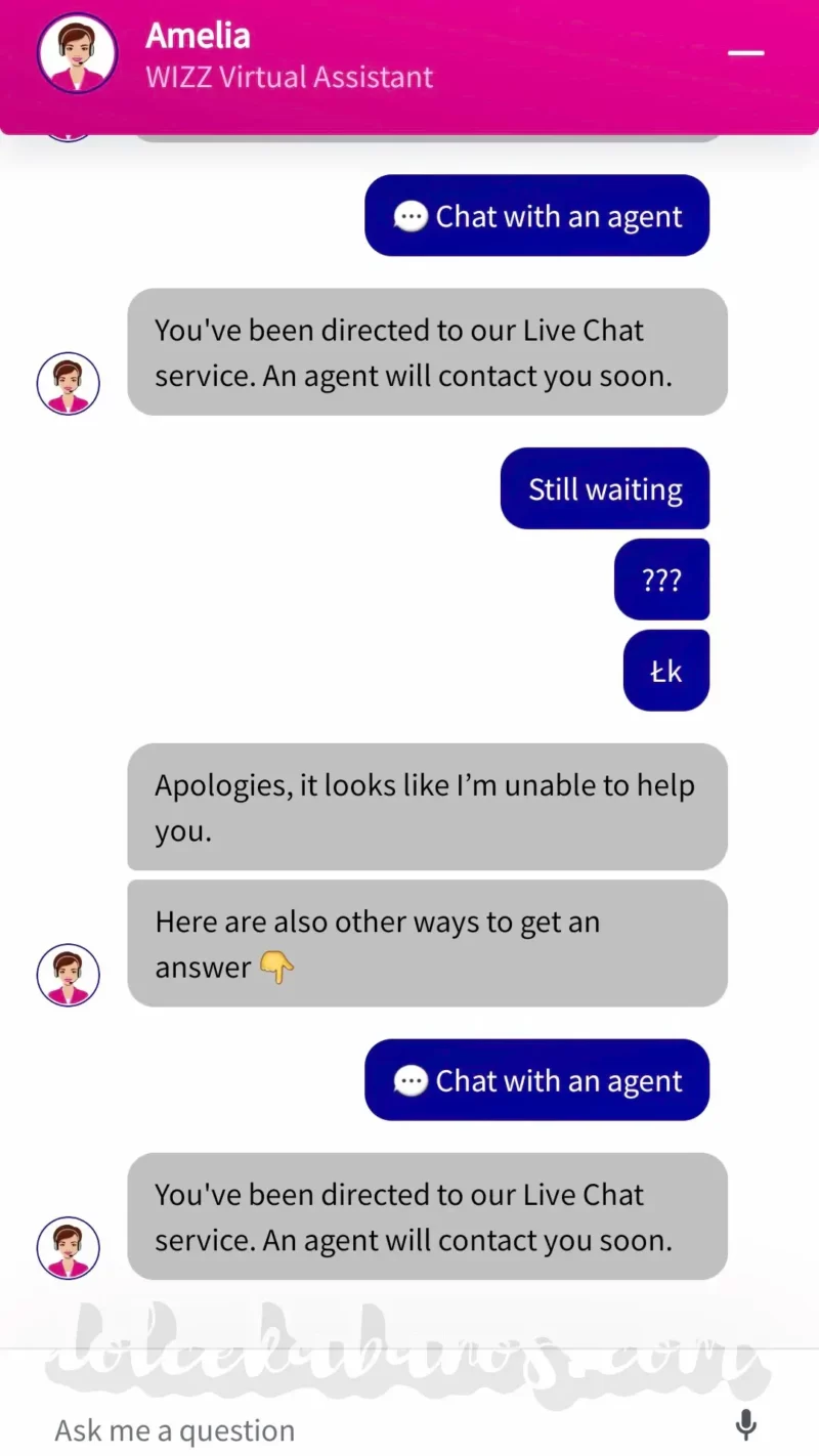 screen rozmowy z konsultantem WizzAir na temat wizz privilege pass