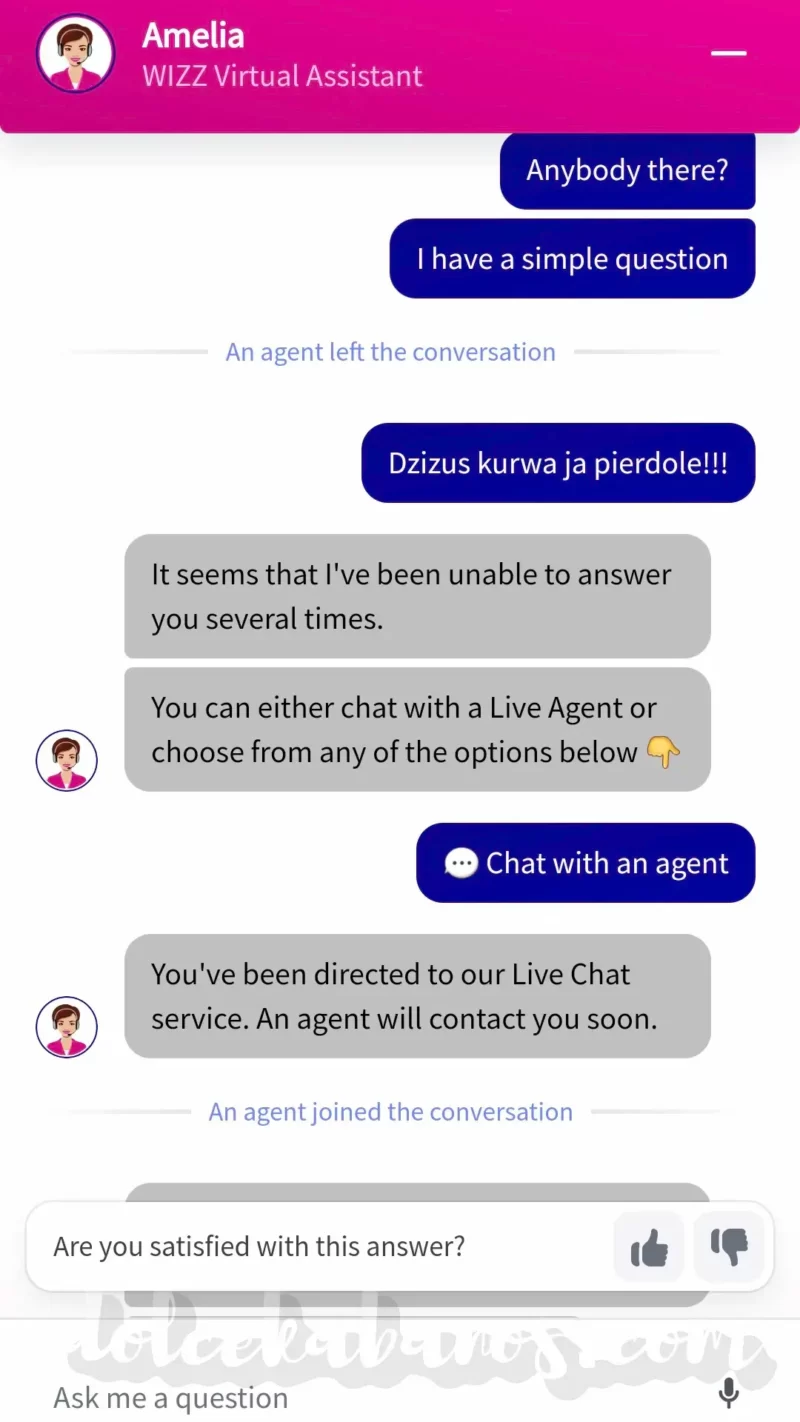 screen rozmowy z Wizz Virtual Assistant