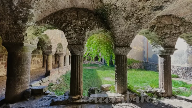 pozostałości po klasztorze przy katedrze św. Bartłomieja